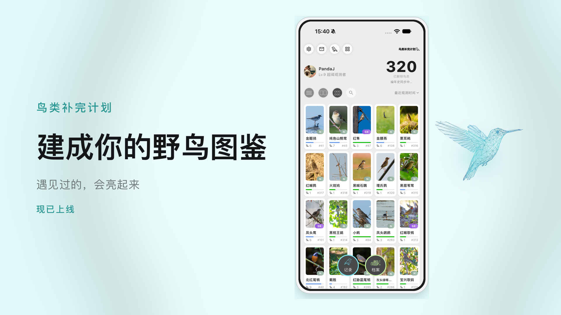 建成你的野鸟图鉴，遇见过的会亮起来