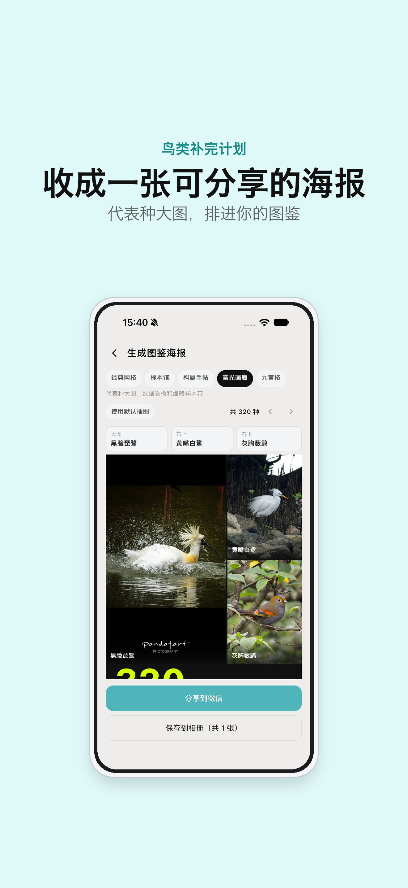 图鉴海报：收成一张可分享的海报，代表种大图排进图鉴