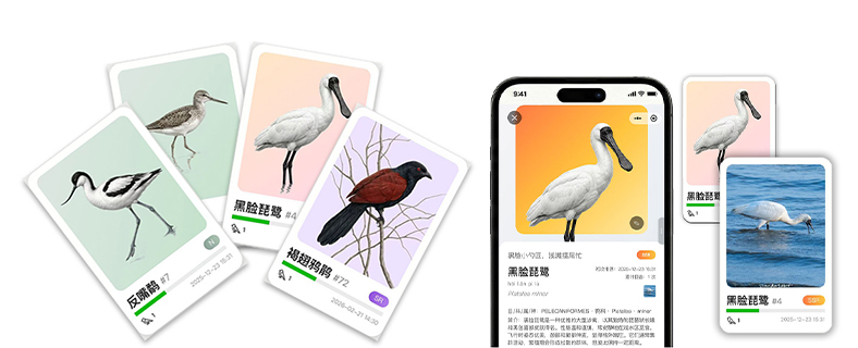 [ 小程序截图：图鉴网格 + 观测页 + 手账时间轴 ]